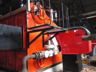 四川源基制药有限公司20T锅炉安装